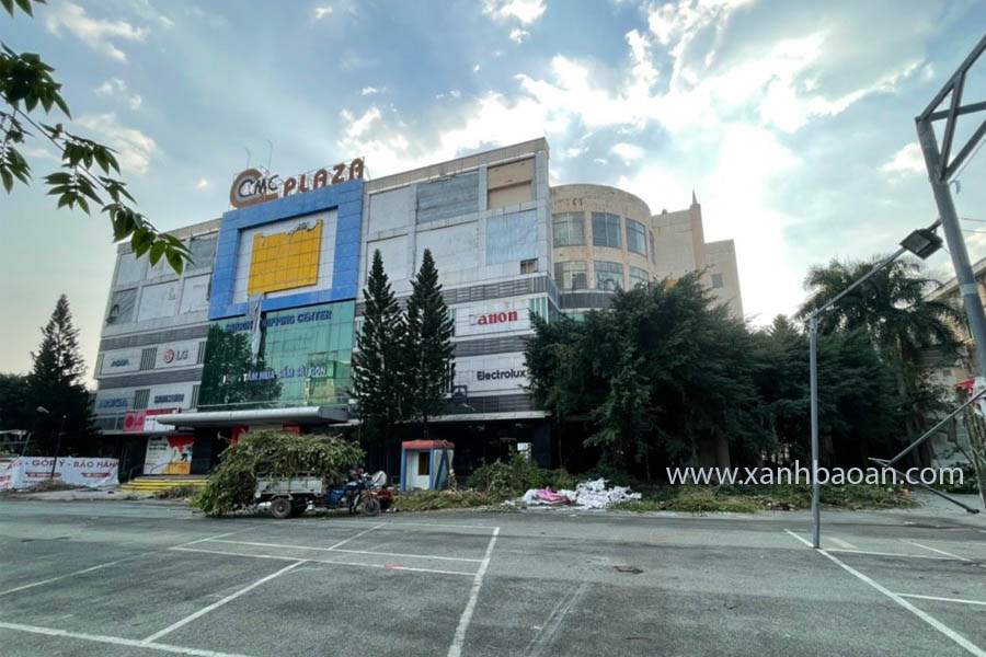Cat-cay-xanh-sieu-thi-Plaza-Tan-Binh